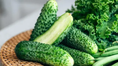 Найкращі сорти огірків для відкритого ґрунту: врожайні, смачні та стійкі до хвороб - фото