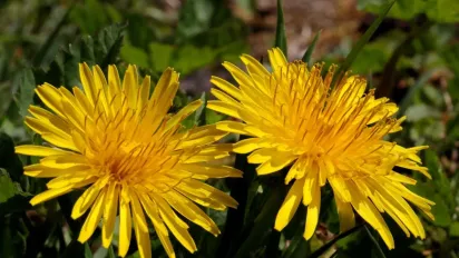 Чим 24 квітня можна накликати на себе бідність: народні прикмети - фото