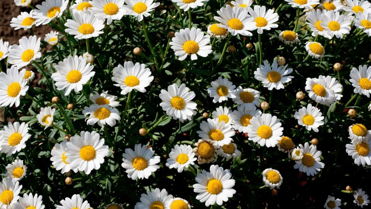 Що потрібно зробити 25 квітня в будинку, щоб не впустити бідність і хвороби 