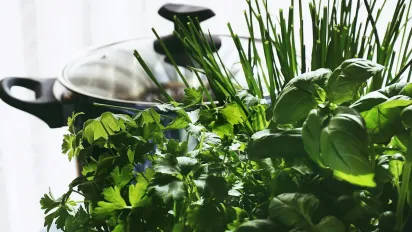 Як зберігати зелень свіжою до двох тижнів: ефективні методи - фото