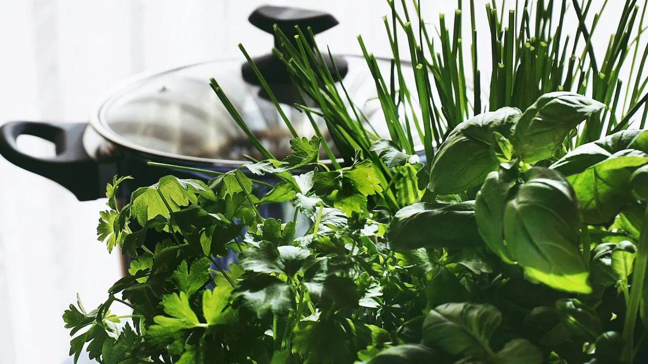 Як зберігати зелень свіжою до двох тижнів: ефективні методи 