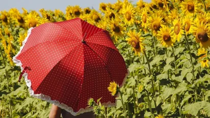 Яка погода буде у травні: прогноз Укргідрометцентру - фото