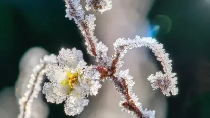 До України йде холоднеча з Фінляндії: температура впаде до -6° - фото
