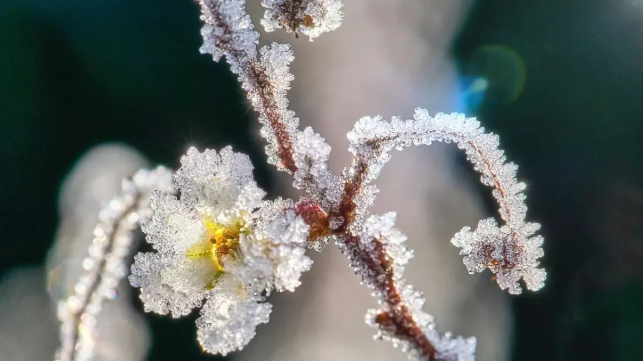 До України йде холоднеча з Фінляндії: температура впаде до -6° 