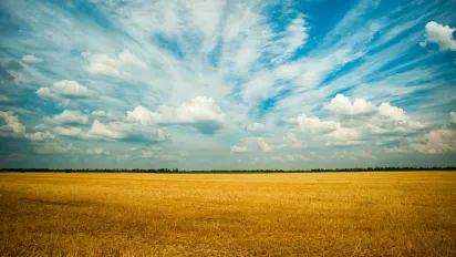 Перестаньте казати «мєлочь» чи «сдача»: ось як правильно називати українською гроші - фото