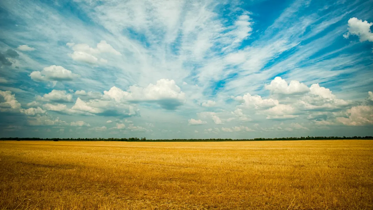 Перестаньте казати «мєлочь» чи «сдача»: ось як правильно називати українською гроші 