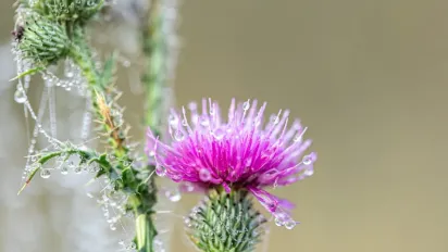 В Україну йде сильне похолодання: прогноз синоптика - фото