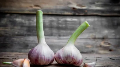 Як підживити часник навесні для великого врожаю: найкращі народні рецепти та поради - фото