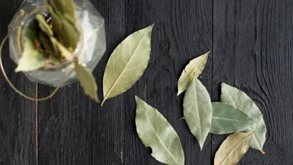 Буде притягувати щастя та гроші: три місця у домі, де потрібно покласти лаврове листя - фото