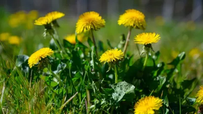 Коли до України повернеться тепла погода: прогноз синоптика - фото