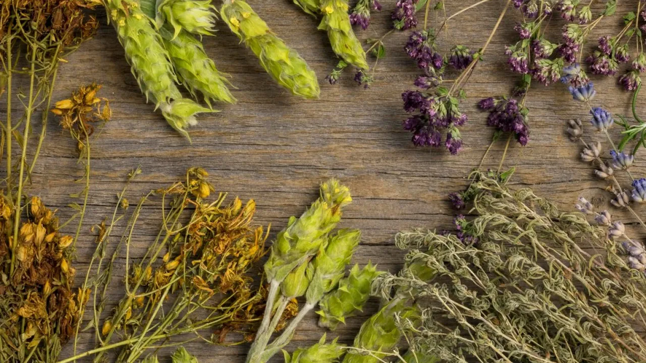 29 квітня — День дев’яти цілителів: 9 заборон, які не варто порушувати 