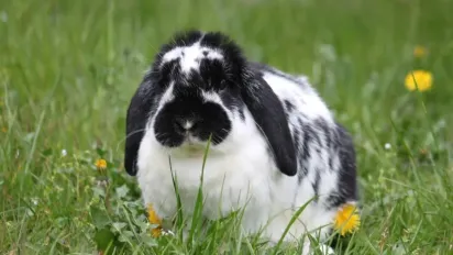 Синоптикиня розказала, яка погода чекає на українців в останній день квітня - фото