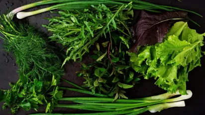  Найцінніша зелень для здоров'я: вирощуйте на підвіконні – і матимете джерело вітамінів щодня - фото