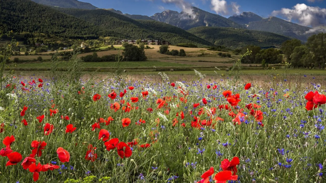 Що робили 2 травня, щоб гроші текли рікою: народні прикмети 