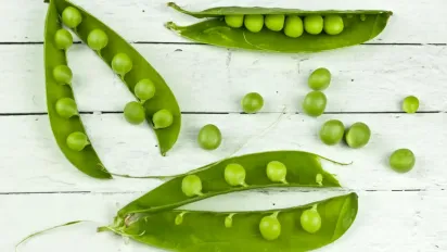 Як правильно посіяти горох навесні: головні правила, які забезпечують щедрий врожай - фото