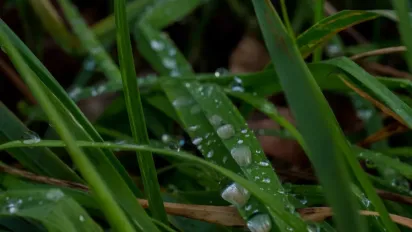 До України йдуть дощі: якою буде погода найближчими днями - фото