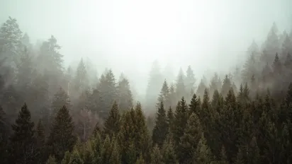 3 травня — день преподобного Феодосія Печерського: що можна і не можна робити, аби залучити добробут і врожай - фото