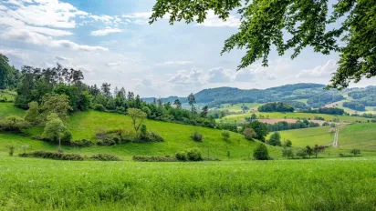 Погода у травні 2025: що чекає українців — теплі дощі чи затяжна прохолода? - фото