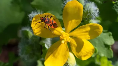 Спека до +27, грози та сильний вітер: прогноз погоди на 4 травня - фото