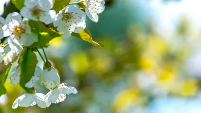 Україну розігріє до +28°, але дощі та грози триватимуть - фото