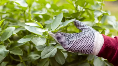 Народні прикмети на 5 травня: кого не пускали на город і як захистити врожай від лиха - фото