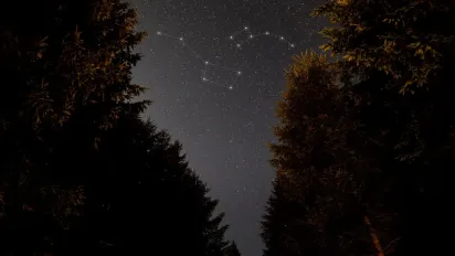 Ці чотири знаки зодіаку розбагатіють найближчими днями: хто потрапить у грошовий потік - фото