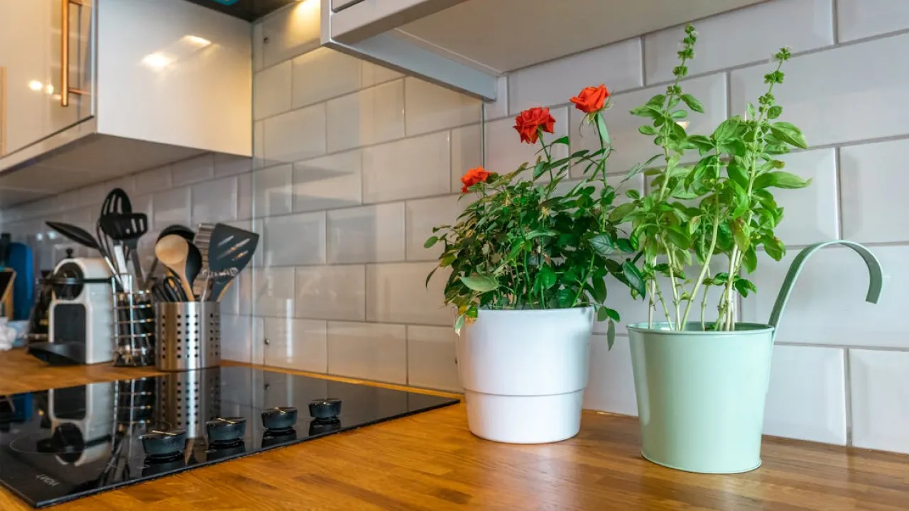 Секрети чистої кухні: п’ять звичок, які варто перейняти 