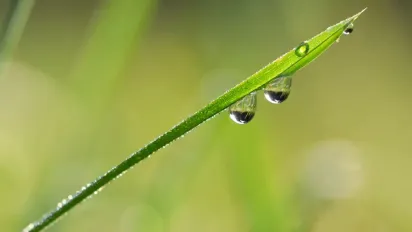 Що потрібно зробити 6 травня, щоб суглоби не боліли: народні прикмети - фото