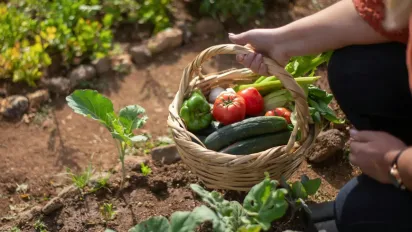 Чому огірки стають гіркими і як цього уникнути — перевірені методи - фото
