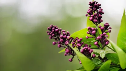 До України йде холоднеча з півночі Європи: синоптик розказав, де буде найнижча температура - фото