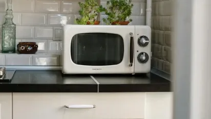 Чому мікрохвильова піч нерівномірно розігріває їжу і як цього уникнути - фото