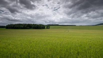 В Україну повертається холод і дощі: де очікувати заморозки та мокрий сніг - фото