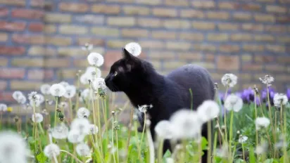 Синоптикиня Діденко повідомила, коли в Україні потеплішає - фото
