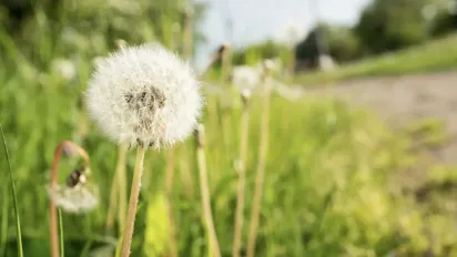 Що не можна позичати 8 травня, щоб не притягнути бідність: народні прикмети - фото