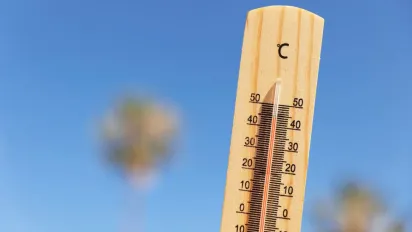 Синоптик попереджає про складне літо в Україні: посуха та спека загрожують врожаю - фото