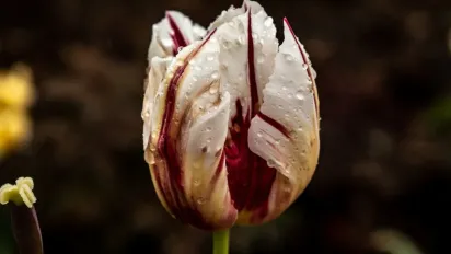 "Холод, дощі і навіть сніг": Україну накриє потужний циклон - фото