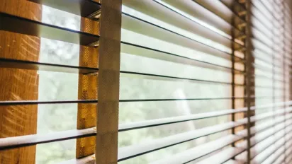 Як правильно чистити жалюзі від пилу та плям: експерти дали дієві поради - фото