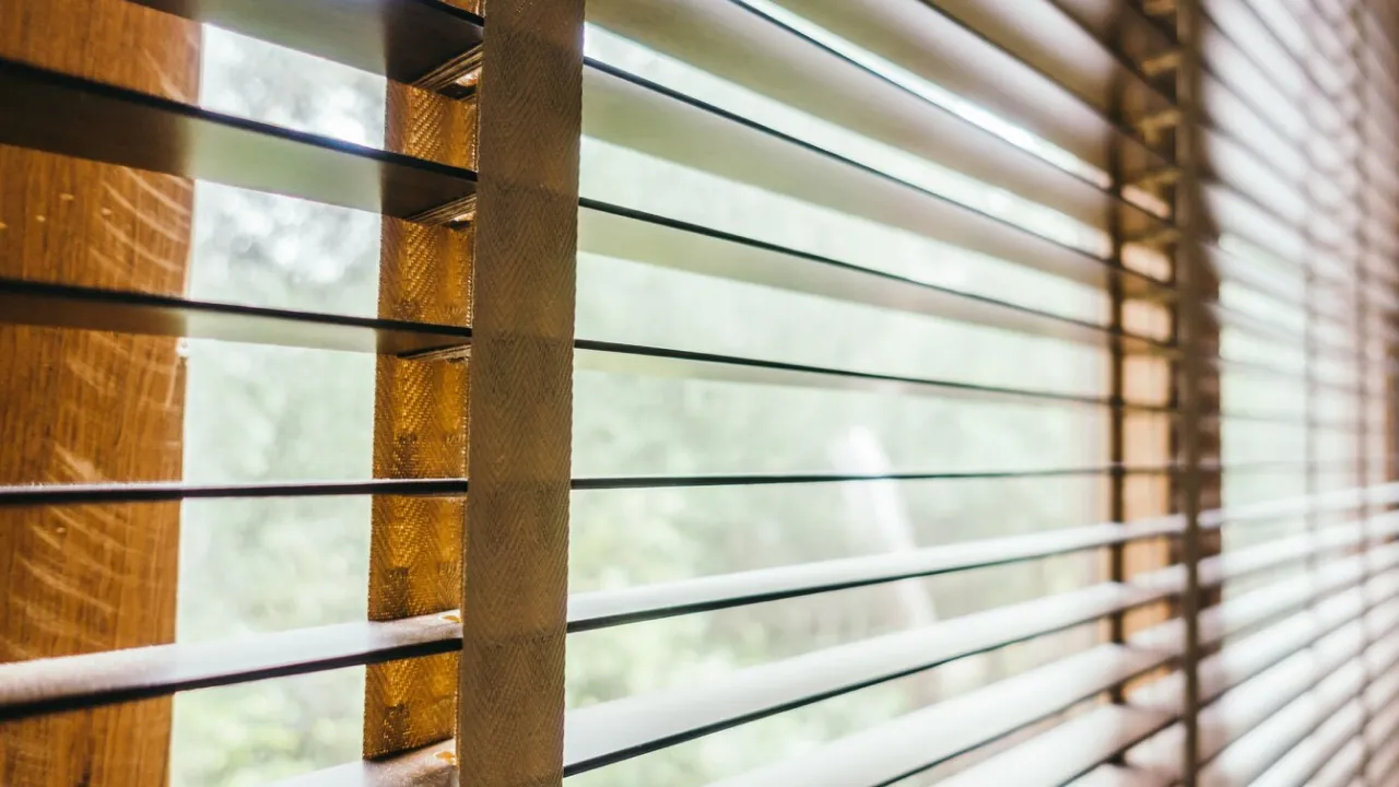 Як правильно чистити жалюзі від пилу та плям: експерти дали дієві поради 