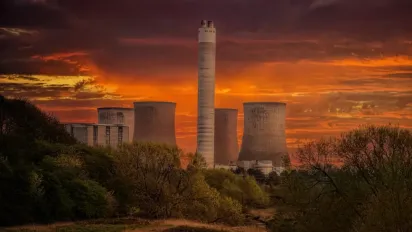 У Міндовкілля відповіли, чи придатна Чорнобильська зона до сільського господарства - фото