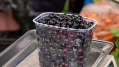 Ця ягода знижує цукор у крові: відкриття фінських науковців - фото