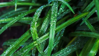 Заллє дощами й засипле градом: синоптик попередив українців про негоду на вихідних - фото