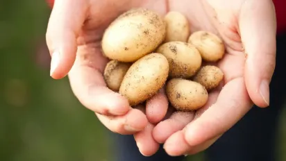 Незвичайне застосування картоплі в побуті: ефективні способи для вашого дому - фото