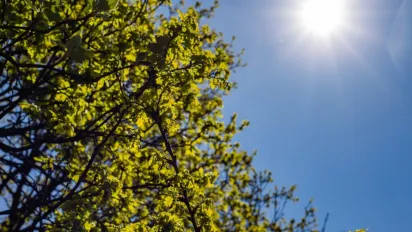 Погода в Україні з 12 по 18 травня: дощі, прохолода та навіть заморозки - фото