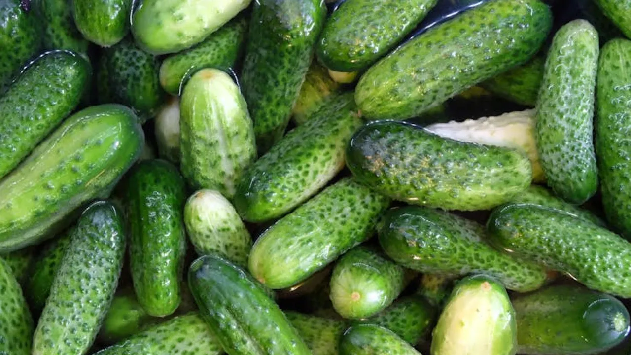 В Україні "космічно" ростуть ціни на огірки: фахівці пояснили причини 