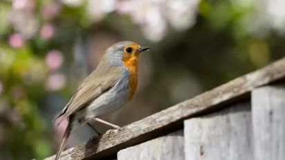 Холодна та нестабільна погода: прогноз для України на 12–14 травня  - фото