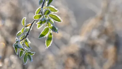 Заморозки, дощі та прохолода: що готує погода в Україні найближчим часом - фото