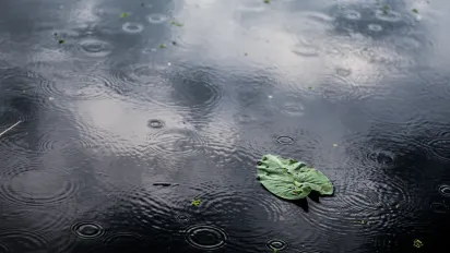 До України йде новий атмосферний фронт з дощами: прогноз синоптиків - фото