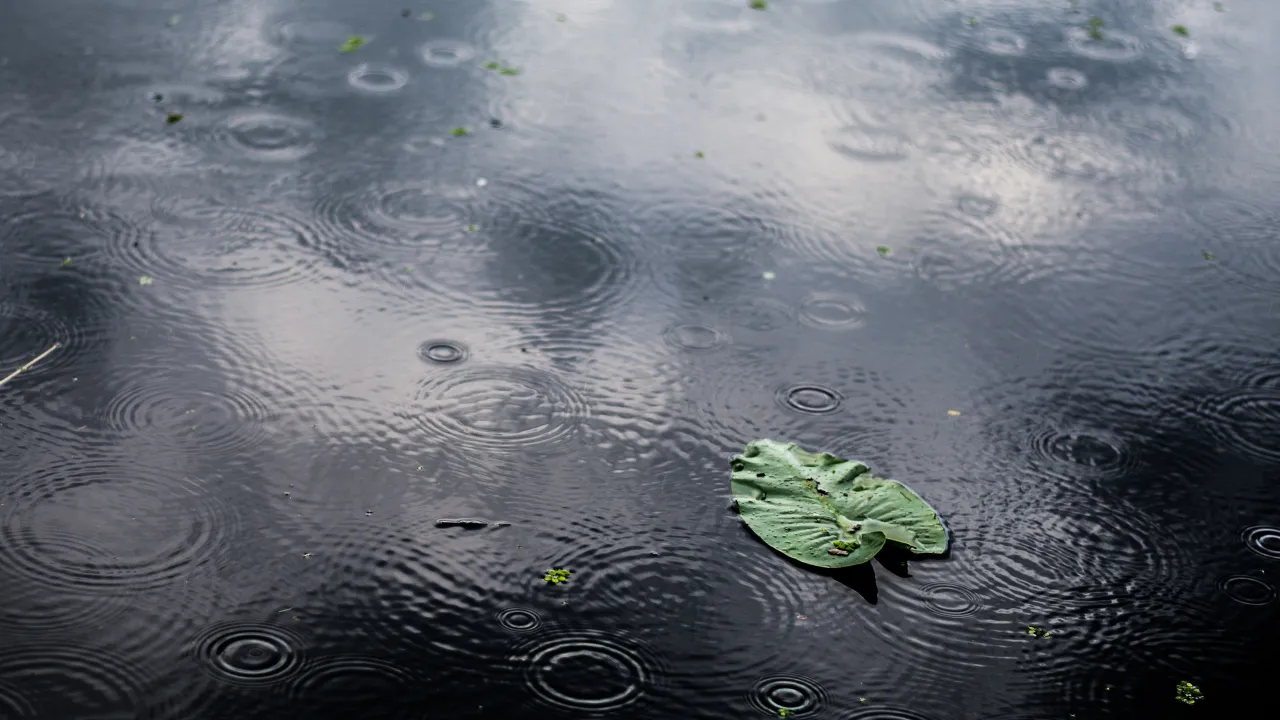 До України йде новий атмосферний фронт з дощами: прогноз синоптиків 