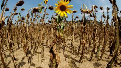 Клімат в Україні змінюється стрімко: зими коротшають, літо спекотніше, весна — із заморозками - фото