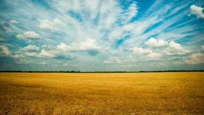 Ці 5 українських прізвищ можуть свідчити про шляхетне походження з Польщі - фото